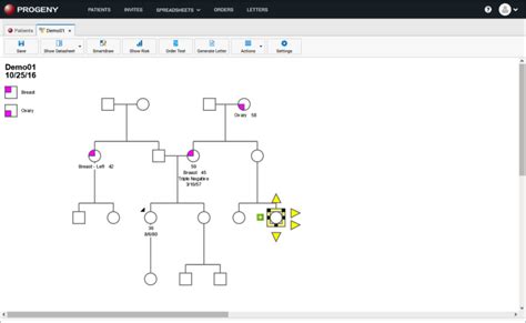 Free Genogram Maker For Mac - loadever