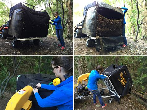 Image result for Cyclone Rake Tips and Tricks