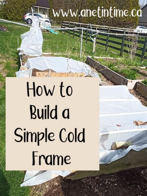 Build a Cheap Cold Frame 的图像结果