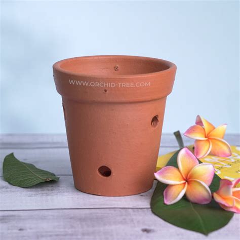 Terracotta Orchid Pot 6 Inch – Orchid-Tree