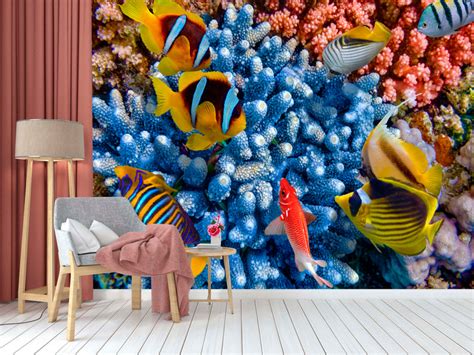 Coral Risers Wallpaper – Myindianthings