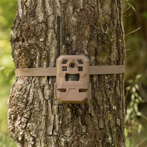 Moultrie Mobile Edge Cellular Trail Camera | Sportsman's Warehouse
