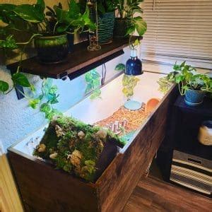 Image result for Tortoise Table