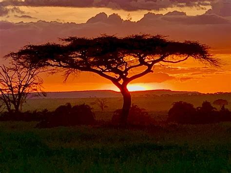 AFRICA SUNSHINE SAFARIS (2026) All You Need to Know BEFORE You Go (with ...