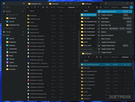 Image result for File Pilot Windows