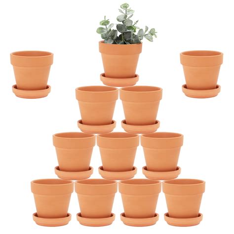 Plants That Thrive In Terracotta Pots at Michael Harbour blog