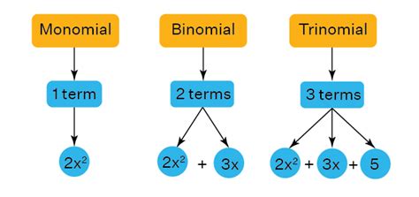 Polynomials and Zeroes of a linear Polynomial - Mathematics (Maths ...
