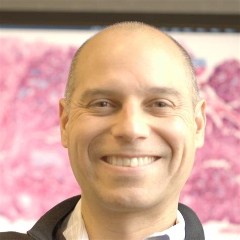 Plasma Cell Disorders, Plasma Cell Dyscrasias > Clinical Keywords ...