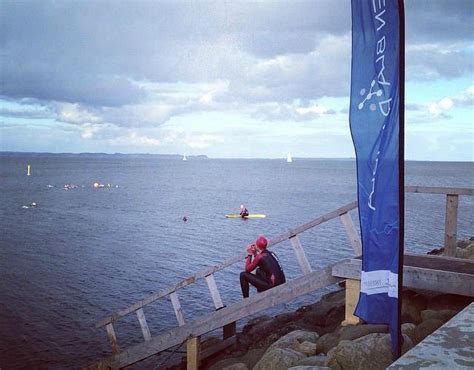 AARHUS HAVBANE (Updated 2026) All You Need to Know BEFORE You Go (with ...