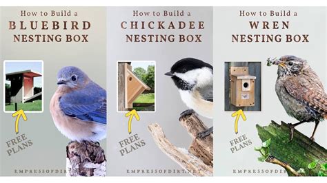 Image result for Cornell Nesting Box Plans