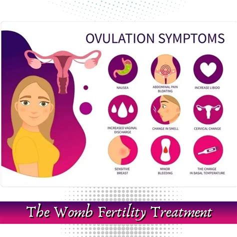 Ovulation Symptoms – The Womb Fertility Treatment