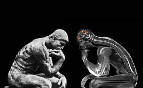 Belief Systems Examples 的图像结果