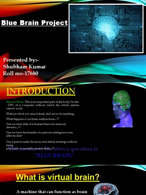 Blue Brain Project 的图像结果