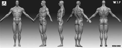 MAAC Animation Delhi | 3D Animation, VFX, Graphic Courses