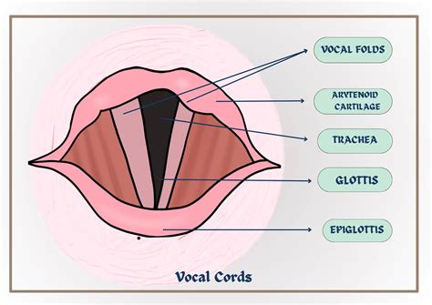 What is Vocal Fry?