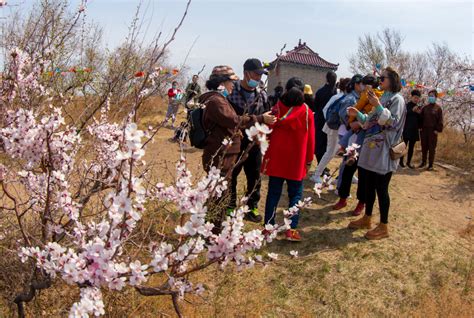 大庆旅游团（19中国旅游日）