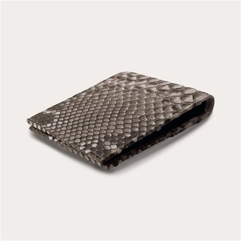 Mud Python 的图像结果