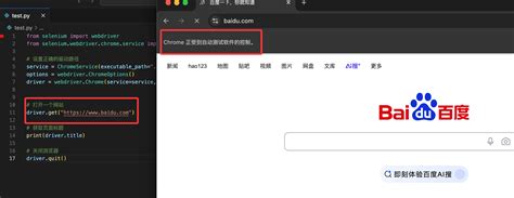 How to Install Selenium for JavaScript 的图像结果