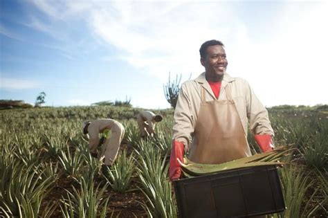 The Aloe Vera Curacao, Home of Curaloe Tour (Willemstad) - All You Need ...