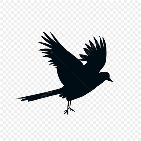 Big Bird Silhouette PNG Free, Flying Big Bird Silhouette, Animal, Flying Big Bird, Birds PNG ...