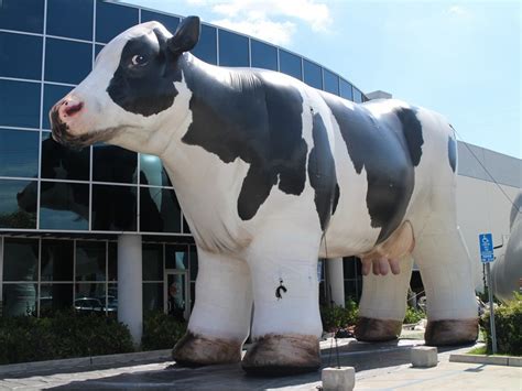 Giant Inflatable Animals: Cow, Monkey, Pig, Farm Animals