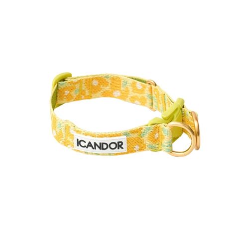 ※即納【ICANDOR】GENTLE COLLAR DUAL_BIG FISH YELLOW | coco.kina