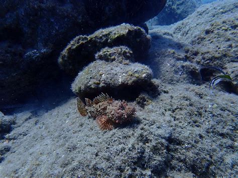 ARIAN DIVING CENTRE - All You Need to Know BEFORE You Go 2026 (with ...