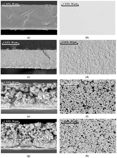 High Efficiency Membranes Based on PTMSP and Hyper-Crosslinked ...