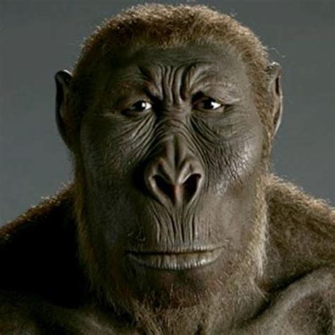 Bison Humans 的图像结果