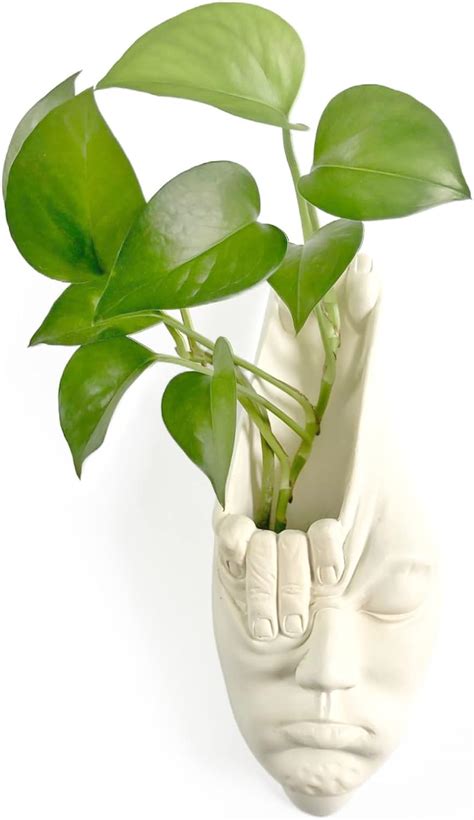 Buy Wall Planter - ALEC ZATH Face Wall Planters for Indoor Outdoor ...