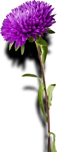 Tennant Funeral Home | Rayville & Bastrop, LA