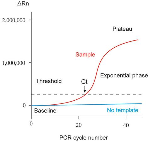Real-Time Polymerase Chain Reaction: Current Techniques, Applications ...