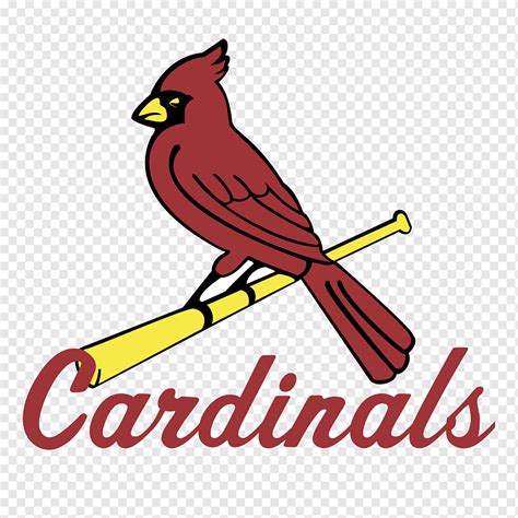 St Louis Cardinals, HD, logotipo, png | PNGWing