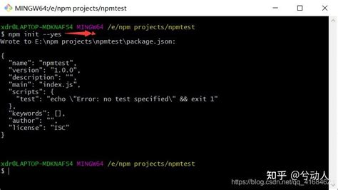 NPM Tutorial 的图像结果