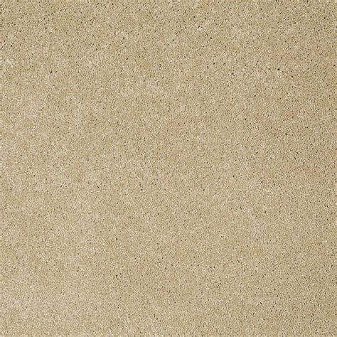 STAINMASTER PetProtect Baxter III Retriever Textured Indoor Carpet at ...