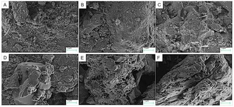 An Experimental Study to Improve the Nutrients and the Mechanical ...