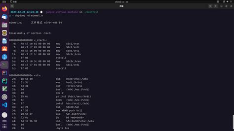 Exit System Call 的图像结果