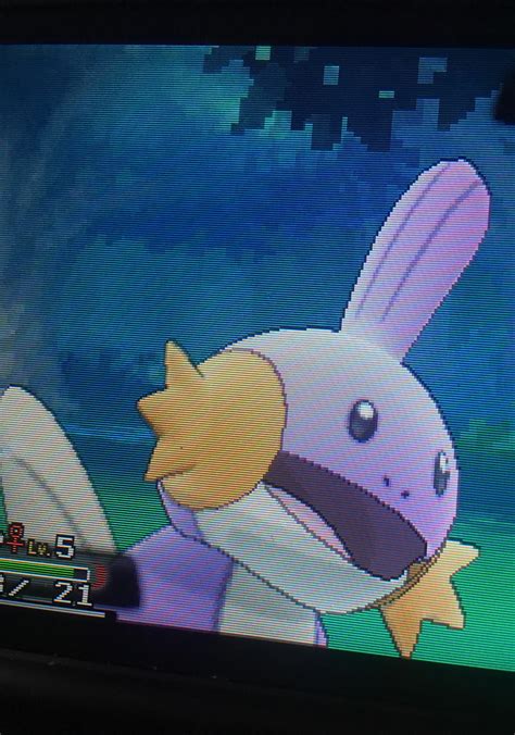 Image result for Shiny Hunting Omega Ruby