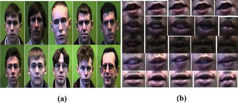 Image result for Computer Vision Test Data Black Face SVG