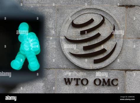 WTO 的图像结果