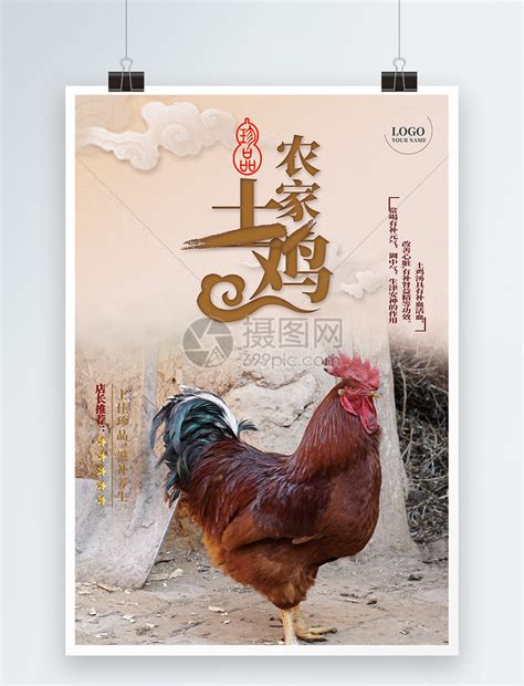 农家土鸡宣传海报模板素材-正版图片400144636-摄图网