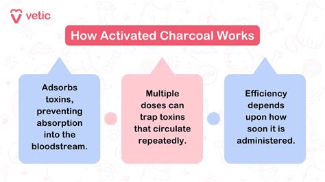 Activated Charcoal For Cats and Dogs: Poisoning and Toxicity