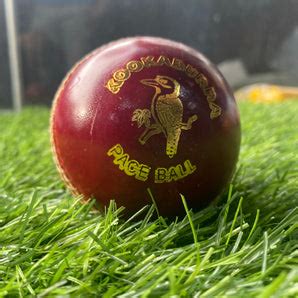 Leather Balls – www.brewingcricket.com