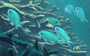 Wallpaper fish, monster, fangs, sea, art hd, picture, image