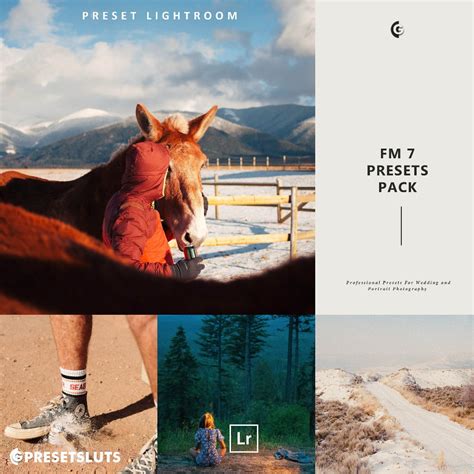 Jual FM 7 Lightroom Preset Desktop Android | Shopee Indonesia