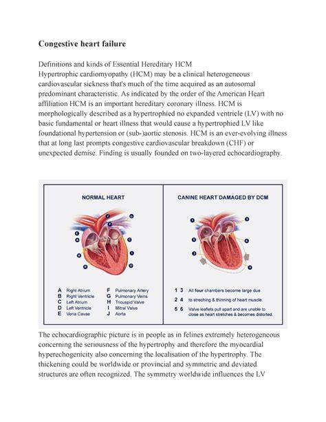 Is Congestive Heart Failure Hereditary