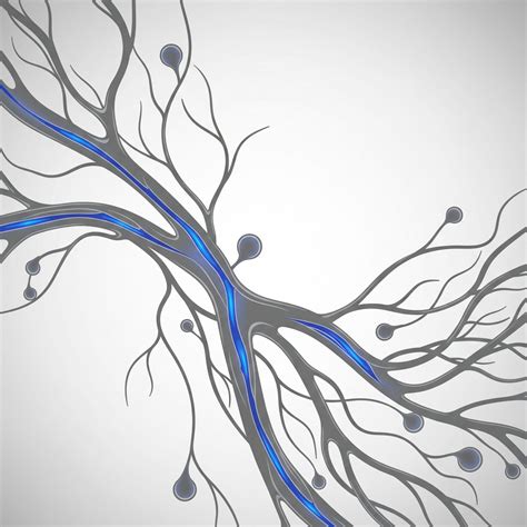 Enoxaparin Treatment, Dose, Side Effects, Counselling....