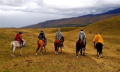 LA RUTA DE GEORGE (2026) All You Need to Know BEFORE You Go (with ...