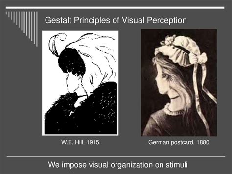 Image result for Visual Perception Examples