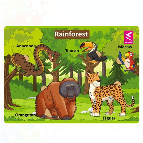 Wooden Rainforest Habitat Learning Puzzle board game for kids – Wissen ...
